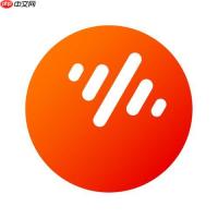 番茄音乐app怎么开启歌词翻译_番茄音乐app双语歌词设置方法【操作】