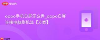 oppo手机白屏怎么弄_oppo白屏连接电脑刷机法【方案】
