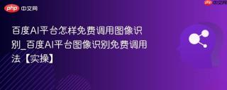 百度AI平台怎样免费调用图像识别_百度AI平台图像识别免费调用法【实操】