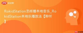 RokidStation怎样播本地音乐_RokidStation本地乐播放法【聆听】