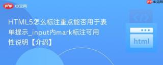 HTML5怎么标注重点能否用于表单提示_input内mark标注可用性说明【介绍】