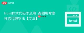 html样式代码怎么用_高频用背景样式代码写法【方法】