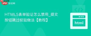 HTML5表单验证怎么禁用_提交按钮跳过校验做法【教程】