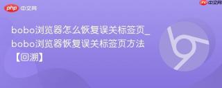 bobo浏览器怎么恢复误关标签页_bobo浏览器恢复误关标签页方法【回溯】