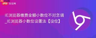 IE浏览器缴费金额小数位不对怎调_IE浏览器小数位设置法【设位】