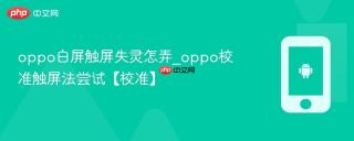 oppo白屏触屏失灵怎弄_oppo校准触屏法尝试【校准】
