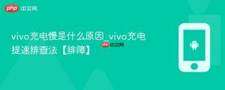 vivo充电慢是什么原因_vivo充电提速排查法【排障】