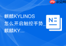 麒麟KYLINOS怎么开启触控手势_麒麟KYLINOS开触控手势法【交互】
