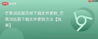 芒果浏览器怎样下载文件更快_芒果浏览器下载文件更快方法【效率】