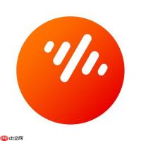 番茄音乐app免费版和会员版区别_番茄音乐app版本功能差异详解【详解】