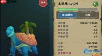 高效驯服水池龟！新手必备饲料攻略与实战技巧