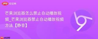 芒果浏览器怎么禁止自动播放视频_芒果浏览器禁止自动播放视频方法【静音】
