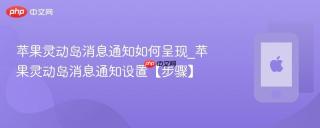 苹果灵动岛消息通知如何呈现_苹果灵动岛消息通知设置【步骤】