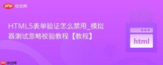 HTML5表单验证怎么禁用_模拟器测试忽略校验教程【教程】