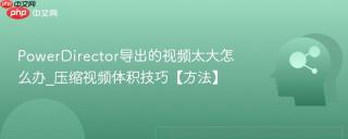 PowerDirector导出的视频太大怎么办_压缩视频体积技巧【方法】