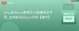 php返回json数据怎么隐藏某些字段_选择性返回json字段【操作】