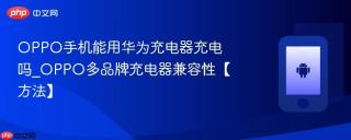 OPPO手机能用华为充电器充电吗_OPPO多品牌充电器兼容性【方法】