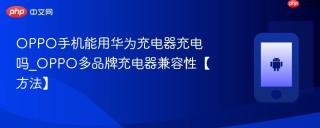 oppo手机能用华为充电器充电吗_oppo多品牌充电器兼容性【方法】