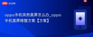 oppo手机突然黑屏怎么办_oppo手机黑屏修复方案【方案】