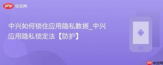 中兴如何锁住应用隐私数据_中兴应用隐私锁定法【防护】