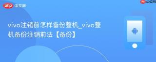 vivo注销前怎样备份整机_vivo整机备份注销前法【备份】