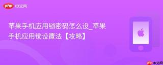 苹果手机应用锁密码怎么设_苹果手机应用锁设置法【攻略】