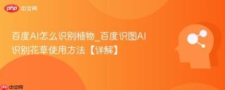 百度AI怎么识别植物_百度识图AI识别花草使用方法【详解】