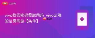 vivo找回密码需联网吗_vivo云端验证需网络【条件】