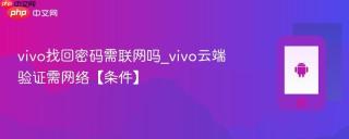 vivo找回密码需联网吗_vivo云端验证需网络【条件】