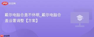 戴尔电脑合盖不休眠_戴尔电脑合盖设置调整【方案】