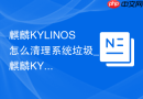 麒麟KYLINOS怎么清理系统垃圾_麒麟KYLINOS清垃圾操作【整洁】