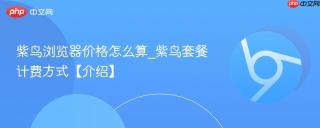 紫鸟浏览器价格怎么算_紫鸟套餐计费方式【介绍】