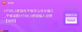 HTML5密码在平板怎么优化输入_平板适配HTML5密码输入说明【说明】
