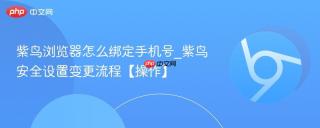 紫鸟浏览器怎么绑定手机号_紫鸟安全设置变更流程【操作】