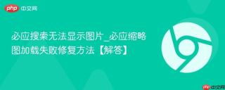 必应搜索无法显示图片_必应缩略图加载失败修复方法【解答】
