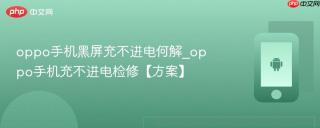 oppo手机黑屏充不进电何解_oppo手机充不进电检修【方案】