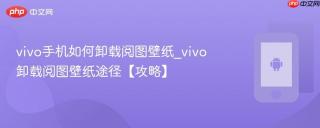 vivo手机如何卸载阅图壁纸_vivo卸载阅图壁纸途径【攻略】
