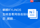 麒麟KYLINOS怎样查看网络连接状态_麒麟KYLINOS看网络状态步骤【诊断】