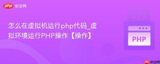 怎么在虚拟机运行php代码_虚拟环境运行PHP操作【操作】