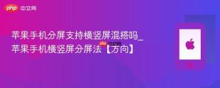 苹果手机分屏支持横竖屏混搭吗_苹果手机横竖屏分屏法【方向】