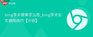 bing学术搜索怎么用_bing学术论文查找技巧【介绍】