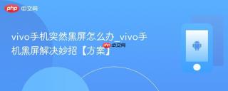 vivo手机突然黑屏怎么办_vivo手机黑屏解决妙招【方案】
