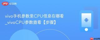 vivo手机参数里CPU信息在哪看_vivoCPU参数查看【步骤】