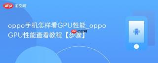 oppo手机怎样看GPU性能_oppoGPU性能查看教程【步骤】