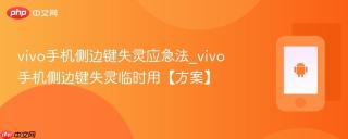 vivo手机侧边键失灵应急法_vivo手机侧边键失灵临时用【方案】