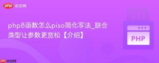 php8函数怎么piso简化写法_联合类型让参数更宽松【介绍】