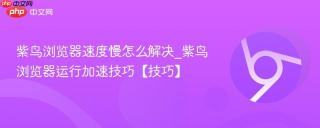 紫鸟浏览器速度慢怎么解决_紫鸟浏览器运行加速技巧【技巧】