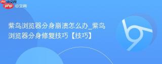紫鸟浏览器分身崩溃怎么办_紫鸟浏览器分身修复技巧【技巧】