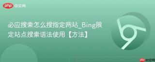 必应搜索怎么搜指定网站_Bing限定站点搜索语法使用【方法】