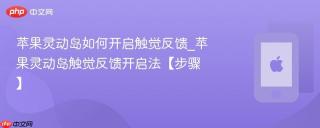 苹果灵动岛如何开启触觉反馈_苹果灵动岛触觉反馈开启法【步骤】